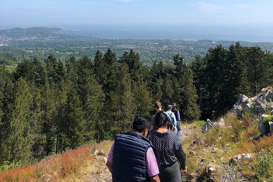 Tour image 6