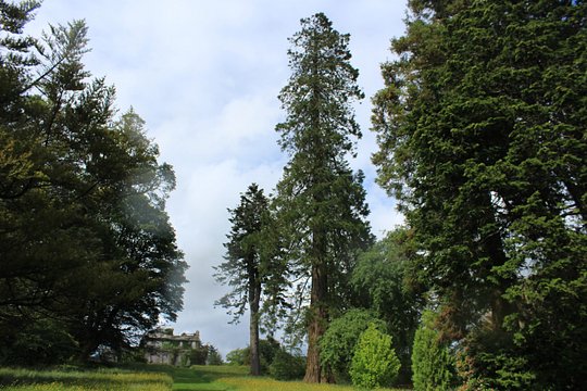 Tour image 5