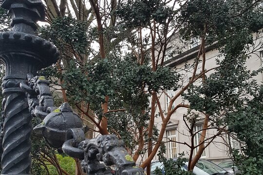 Tour image 6